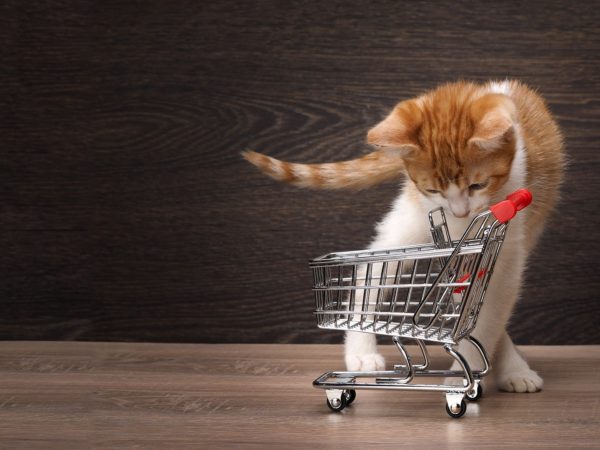Build A Shopping Cart In Power Apps