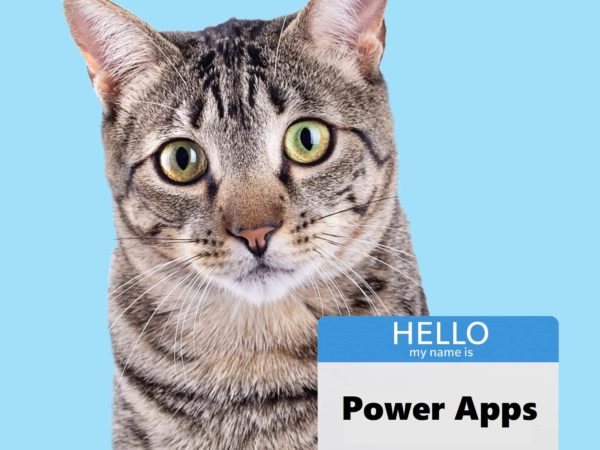Power Apps Standards: Naming Conventions