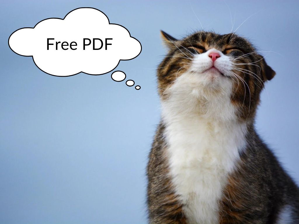 7 Ways To Use The PATCH Function In Power Apps Free PDF