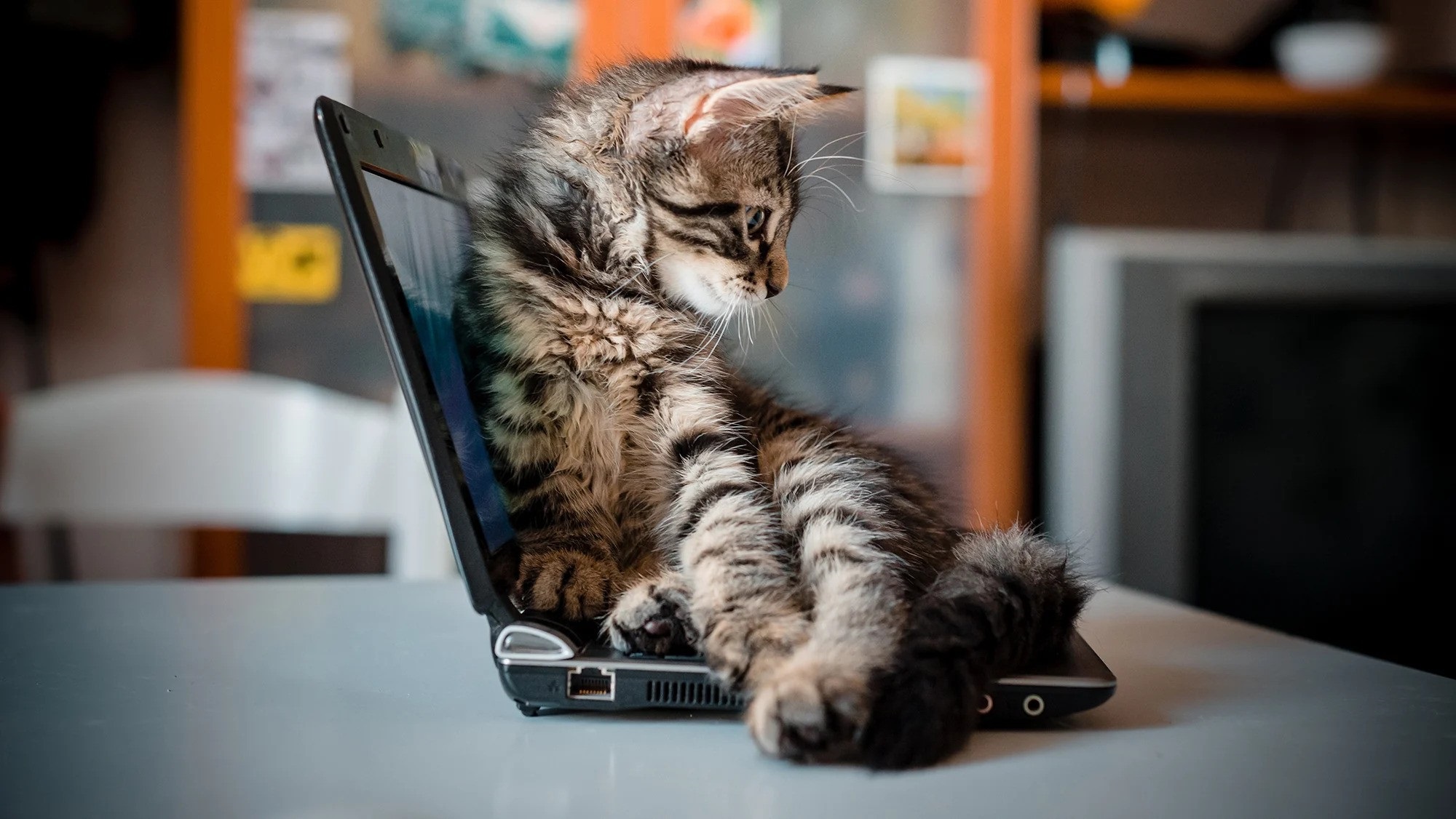 Power Apps User Defined Functions: Write Code Once And Reuse Power Apps User Defined Functions: Write Code Once And Reuse