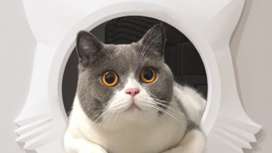 power apps presentation power apps presentation