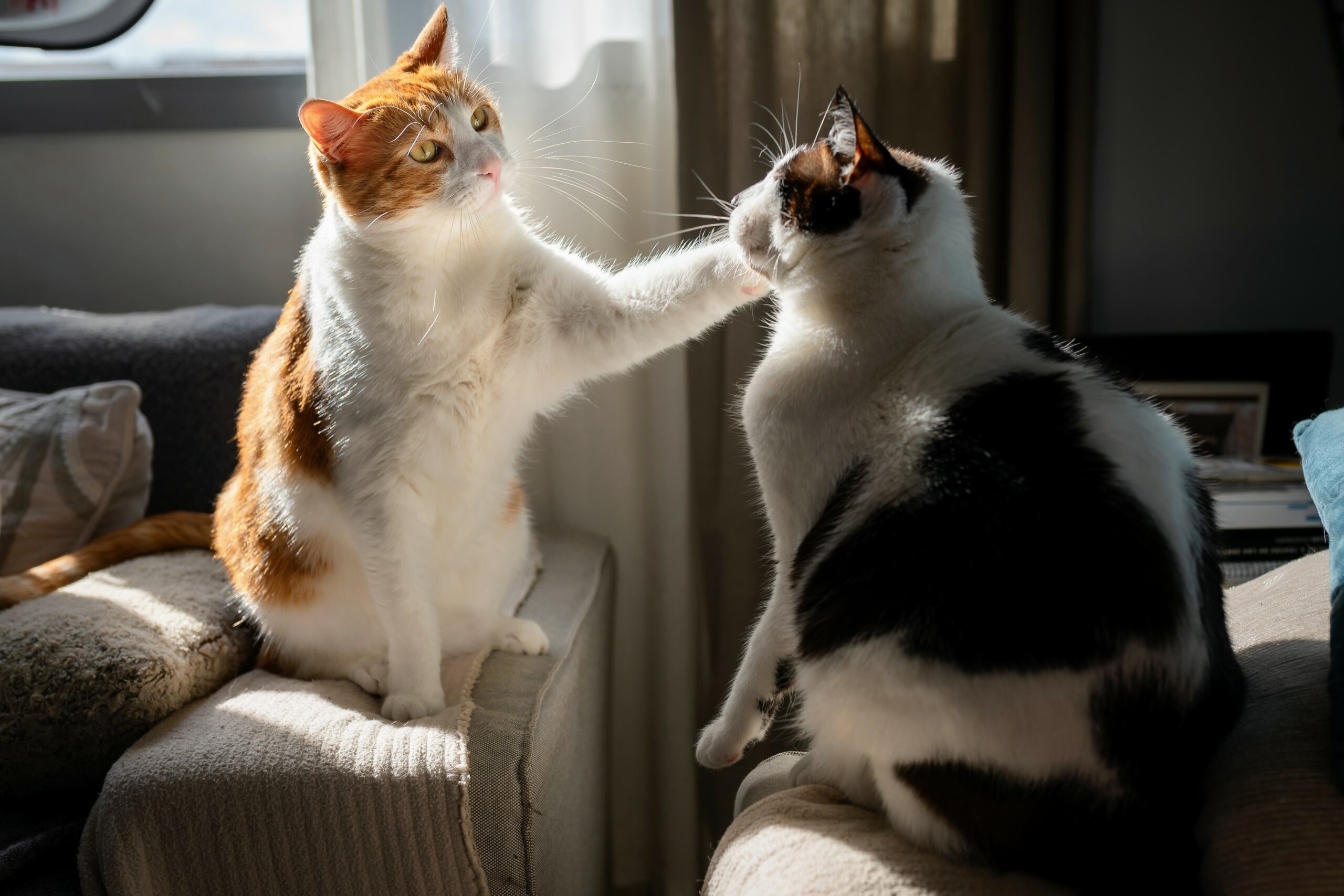How To Orchestrate Chat Without Topics In New Copilot Studio